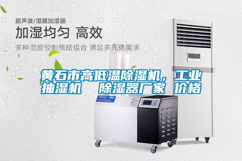 黃石市高低溫除濕機，工業抽濕機  除濕器廠家 價格