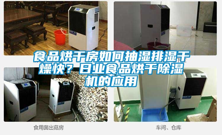 食品烘干房如何抽濕排濕干燥快？日業(yè)食品烘干除濕機的應用