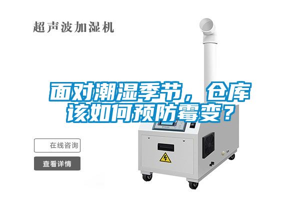 面對潮濕季節，倉庫該如何預防霉變？