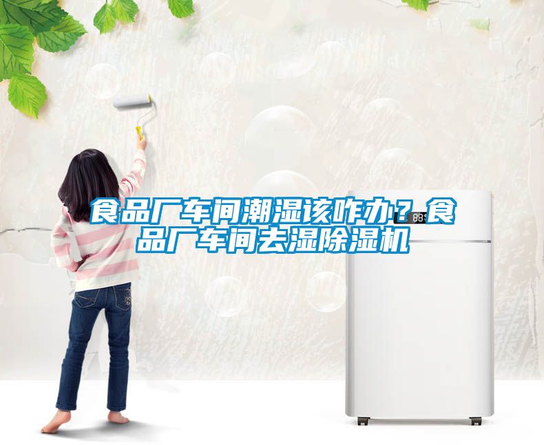 食品廠車間潮濕該咋辦？食品廠車間去濕除濕機(jī)