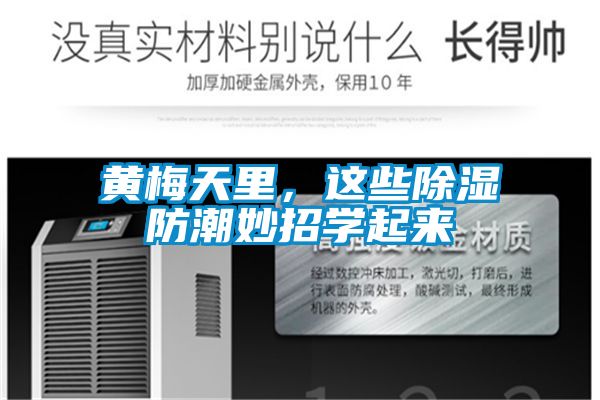 黃梅天里，這些除濕防潮妙招學起來